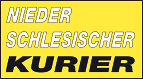 NSK Logo